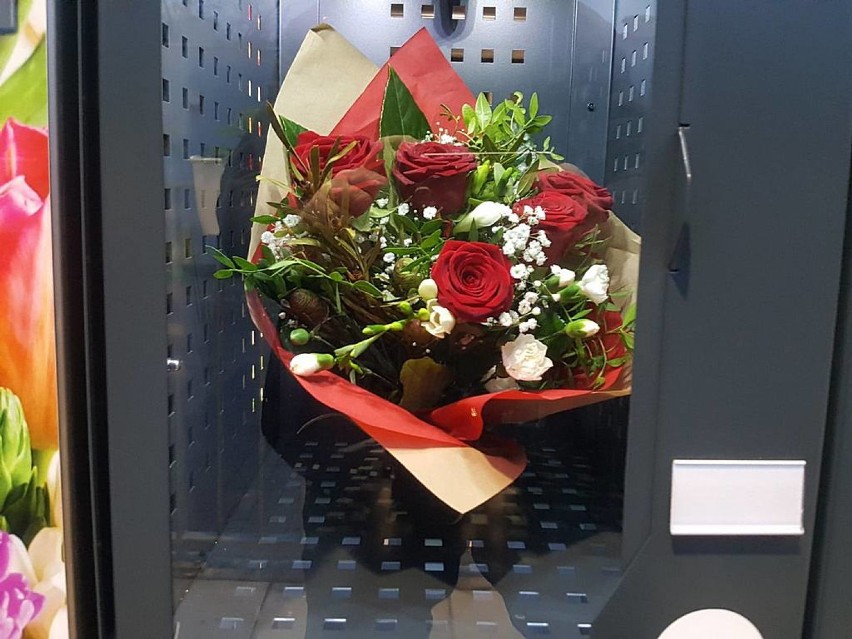 Niesamowite, automat do sprzedaży kwiatów w Wałbrzychu [12.11.2020 ZDJĘCIA]