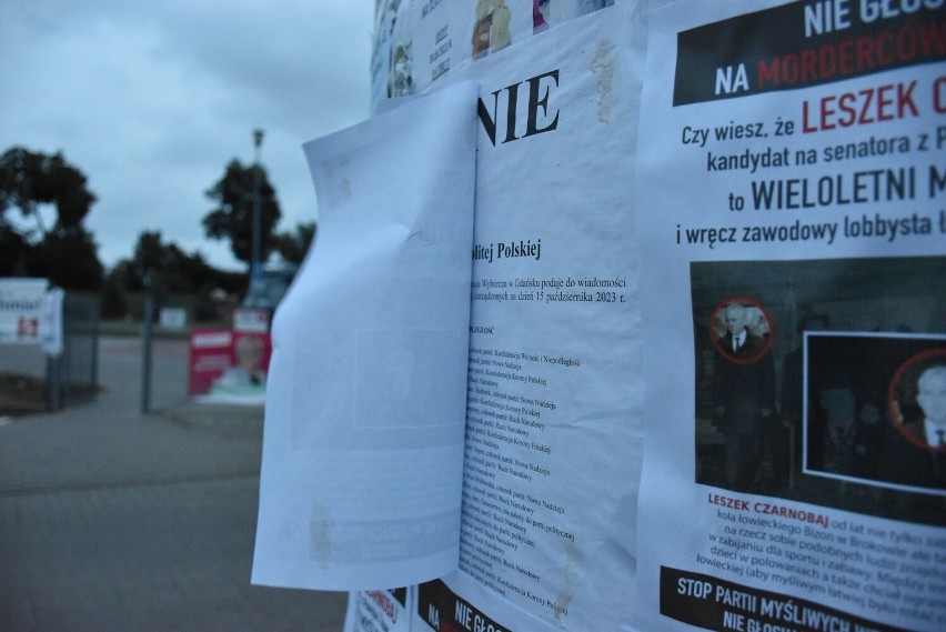 Obwieszczenia wyborcze zaklejane w Malborku