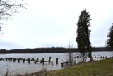 Miasto odbuduje pomosty na plaży Dąbek w Augustowie