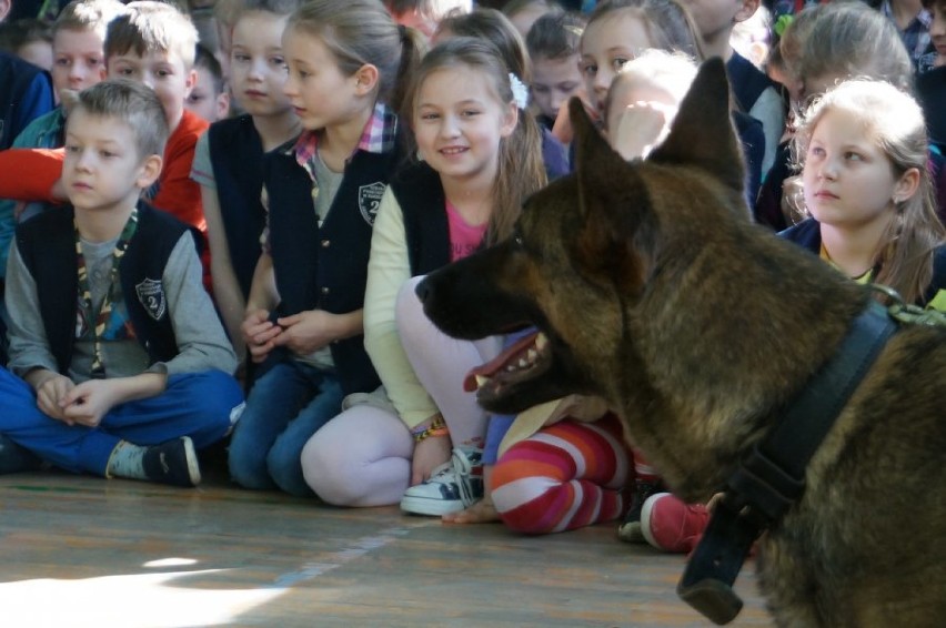 Policyjny pies Aza u dzieciaków z Kłobucka [FOTO]