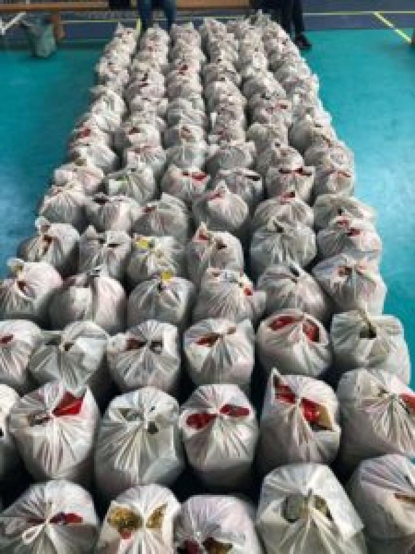 5,2 tony żywności trafiło do najbardziej potrzebujących mieszkańców gminy Luzino