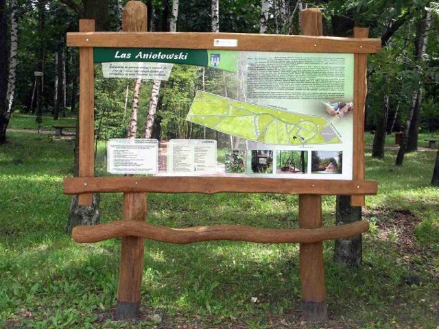 W Lesie Aniołowskim stanęły tablice dydaktyczne