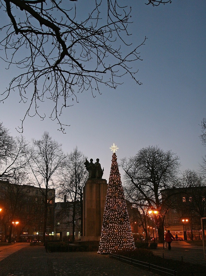 Choinka na placu Wolności