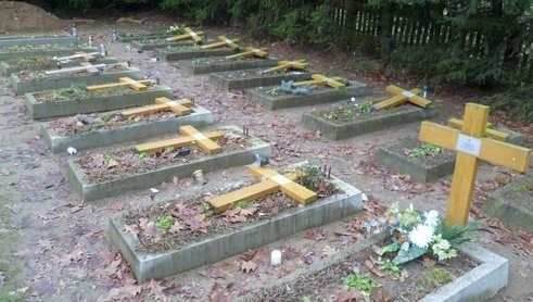 Nieznani sprawcy zdewastowali 48 grobów na cmentarzu sióstr...