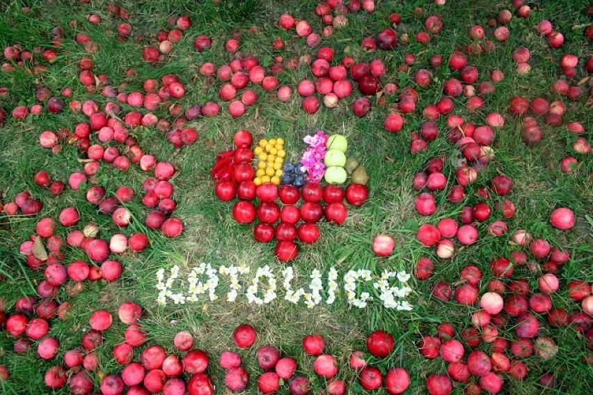 Fotografie są efektem konkursu "Katowice w Obiektywie 2013".