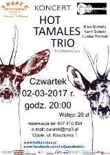 Koncert zespołu "Hot Tamales Trio" w Opolu 