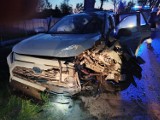 W Wilczych Błotach kierowca uderzył w drzewo. 34-latek z powiatu kościerskiego ukarany mandatem ZDJĘCIA