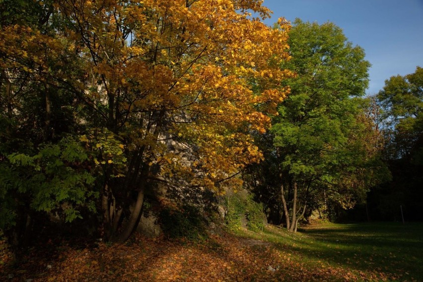 Park Bednarskiego ma być remontowany ponad rok, a w tym...