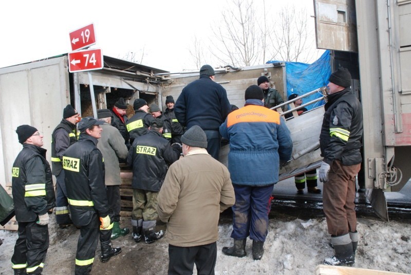 Wypadek ciężarówki w Polichnie wiozącej 150 świń ZDJĘCIA