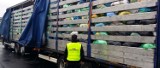 Zgorzelec: Kolejny nielegalny transport odpadów miał trafić do Polski