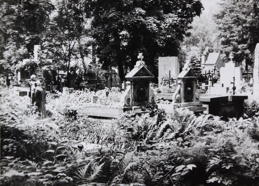 Cmentarz Rakowicki, 1978 r.