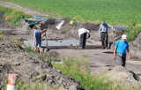 Wykopaliska w Ostrowie pod Gniewkowem. Co odkryli archeolodzy? [zdjęcia]