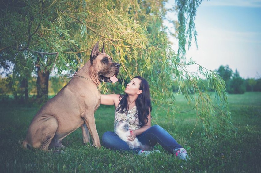 Dog niemiecki Ewy Leśniewskiej trenerki psów z Włocławka zagrał w filmie z Michałem Żebrowskim