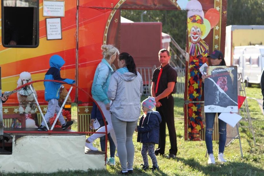 Protest przeciwko wykorzystywaniu zwierząt w Wolsztynie