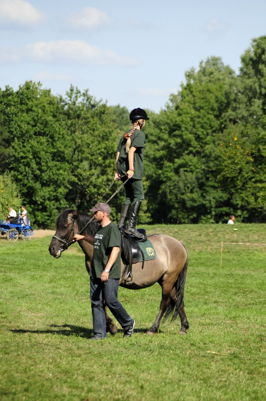 Sieraków - Tarpaniada 2013