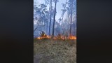 Pożar w w okolicach tzw. Końskich Dołów w Kraśniku Fabrycznym. Zobacz wideo
