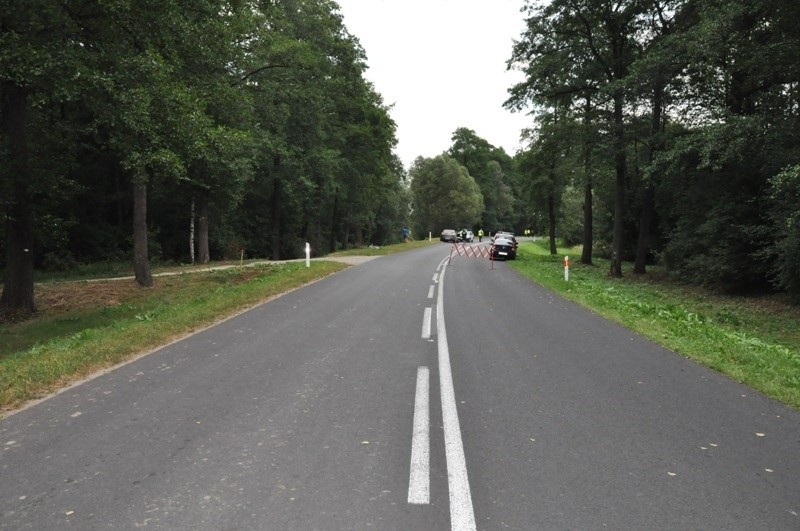 Cztery osoby zginęły w wypadku w Kolonii Wisznice. Audi rozbiło się na drzewie. NOWE FAKTY