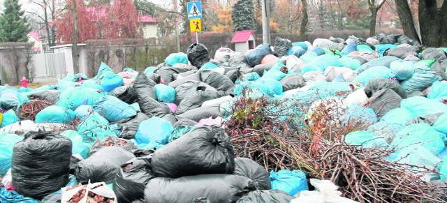 Tak wyglądał punkt odbioru liści na ul. Sowińskiego 3 w środę po południu