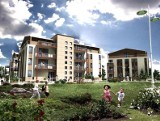 W 2013 roku Dolcan planuje wprowadzić na warszawski rynek ponad 500 nowych mieszkań
