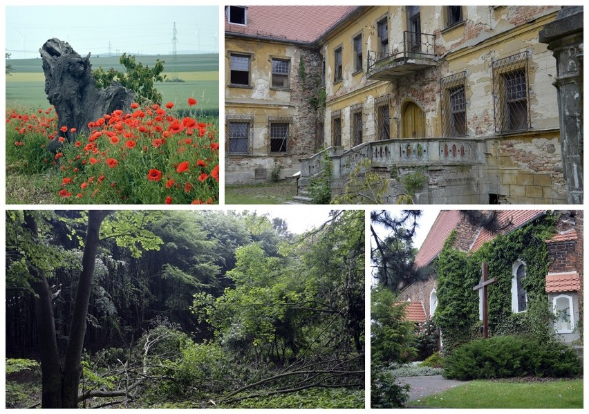 Wyprawa z Głogowa w stronę Dalkowa