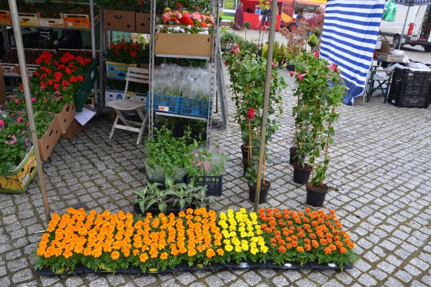 Jarmark kwiatów w Raciborzu na Zamku Piastowskim