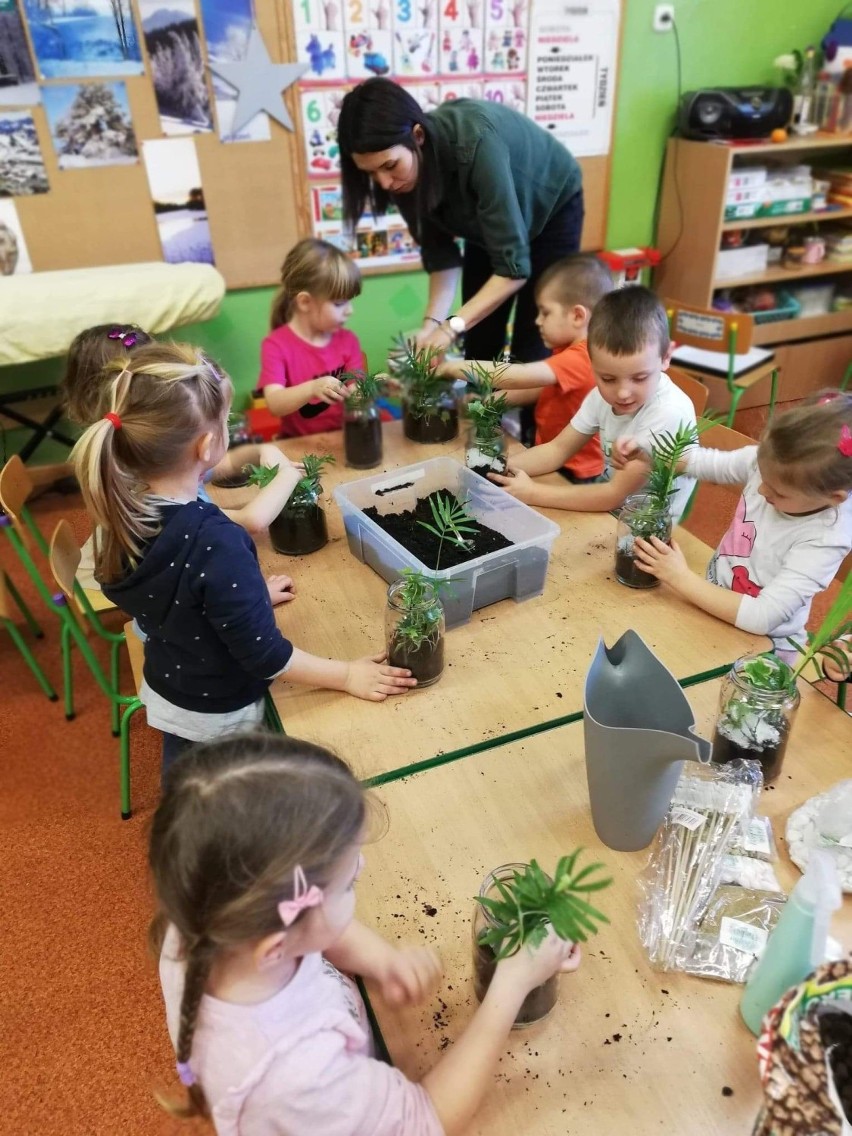 Pniewskie przedszkolaki sadziły roślinki w słoikach