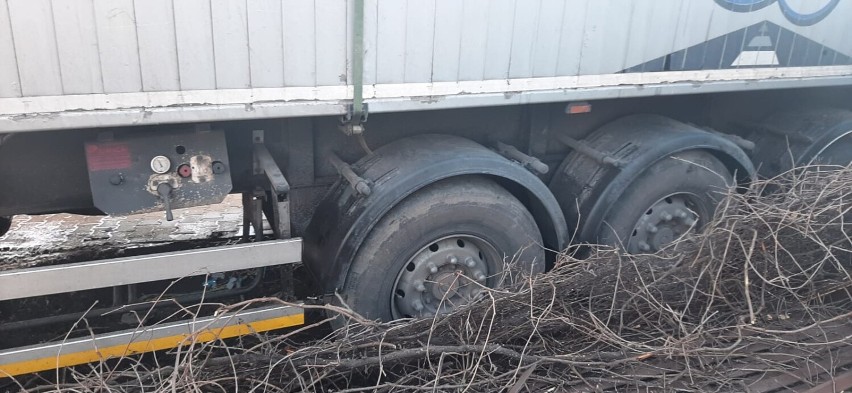 Kamieniec: Ciężarówka wypadła z drogi. Uderzyła w płot i...
