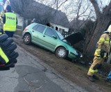 Wypadek w Kotorzu Wielkim. Kierująca samochodem osobowym wjechała w drzewo
