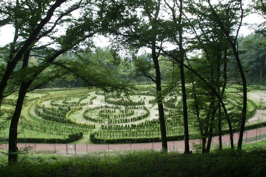 Racibórz: W arboretum Bramy Morawskiej będzie krąg jak Stonehenge