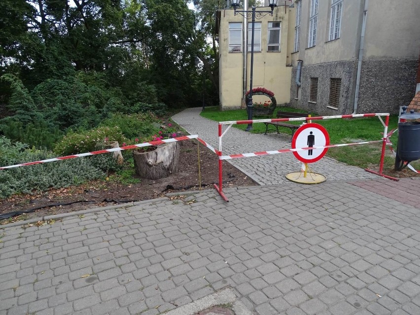 Fragment murów obronnych w Chełmnie zawalił się. Naprawa...