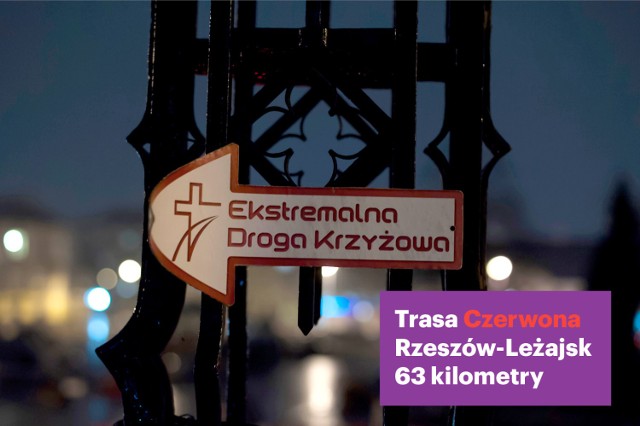 Opis: To jedna najdłuższych tras EDK w Polsce. Po 28 kilometrach łączy się z trasą żółtą.
Przebieg: Rzeszów - Słocina - wzgórze Marii Magdaleny - Cierpisz - Kraczkowa - Krzemienica - Czarna - Rakszawa - Brzóza Stadnicka - Brzóza Królewska - Leżajsk
Długość: 63 km
Czas przejścia: 14h