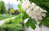 Cudowny maj w Kielcach. 10 miejsc, które zachwycają - warto je zobaczyć [ZDJĘCIA]