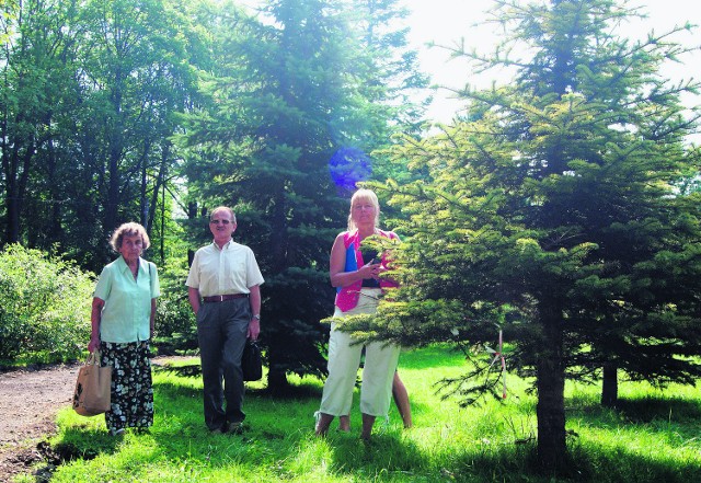 Rabczańscy obrońcy zieleni boją się, że z parku znikną dorodne i zdrowe drzewa