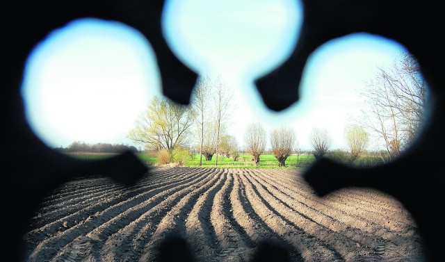 Miejscowości na terenie Żuław często leżą na obszarze depresyjnym