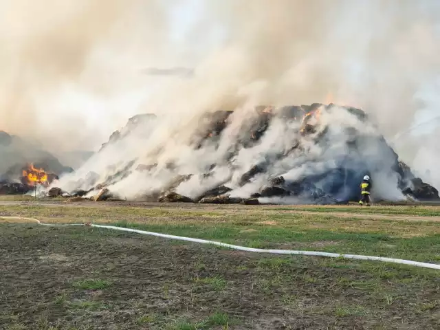 Pożar dwóch stogów słomy składowanej przy ul. Trynkowej w Grudziądzu, wybuchł w piątek, około godziny 18.20  