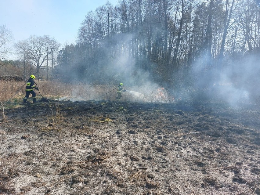 W pożarze w okolicach Rybakowa spłonęło około 10 hektarów...