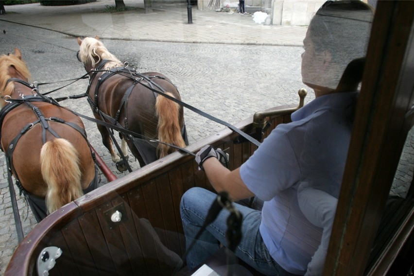 Tramwaj konny w Mrozach. Wyjątkowa atrakcja turystyczna pod Warszawą