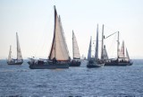 Próchno i Rdza w Gdyni. Kilkadziesiąt klasycznych jednostek na gdyńskich wodach! Miłośnicy żeglarstwa mogą być zachwyceni! ZDJĘCIA