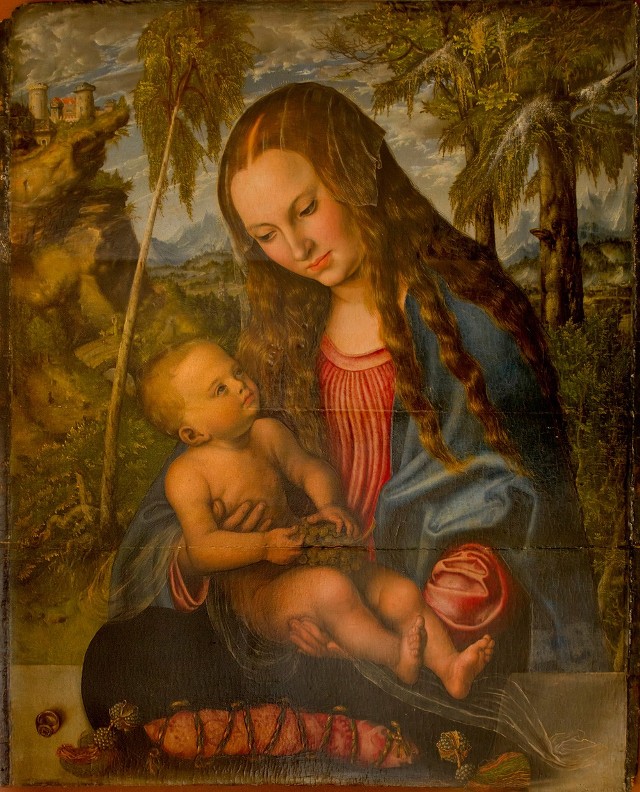 &#8222;Madonnę pod jodłami&#8221; Lucas Cranach namalował około 1510 roku. Obraz &#8211; olej na desce &#8211; nie jest ogromny. Ma wymiary: 71 centymetrów na 57 centymetrów