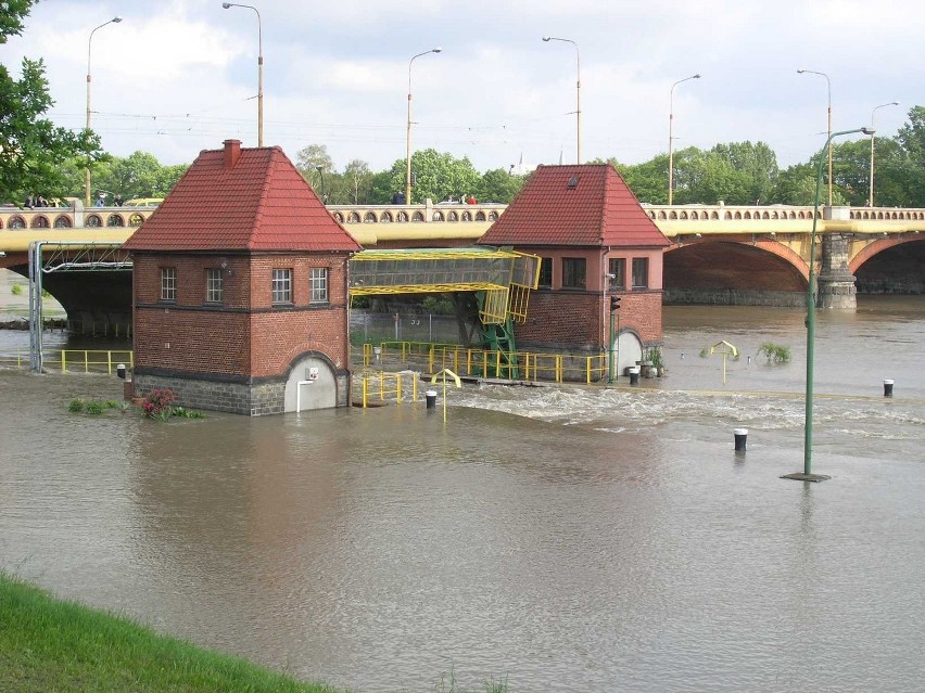 Wrocław: Most Trzebnicki, Różanka (ZDJĘCIA)