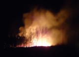 Pożar 25 ha młodego lasu [zdjęcie]