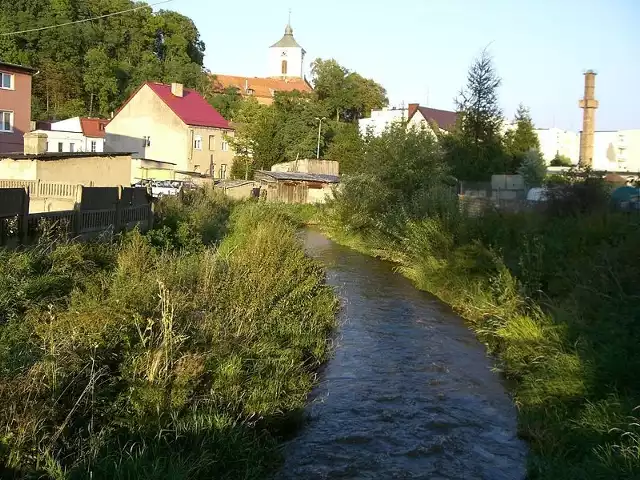 rzeka Dzierzgoń przepływająca przez Dzierzgoń