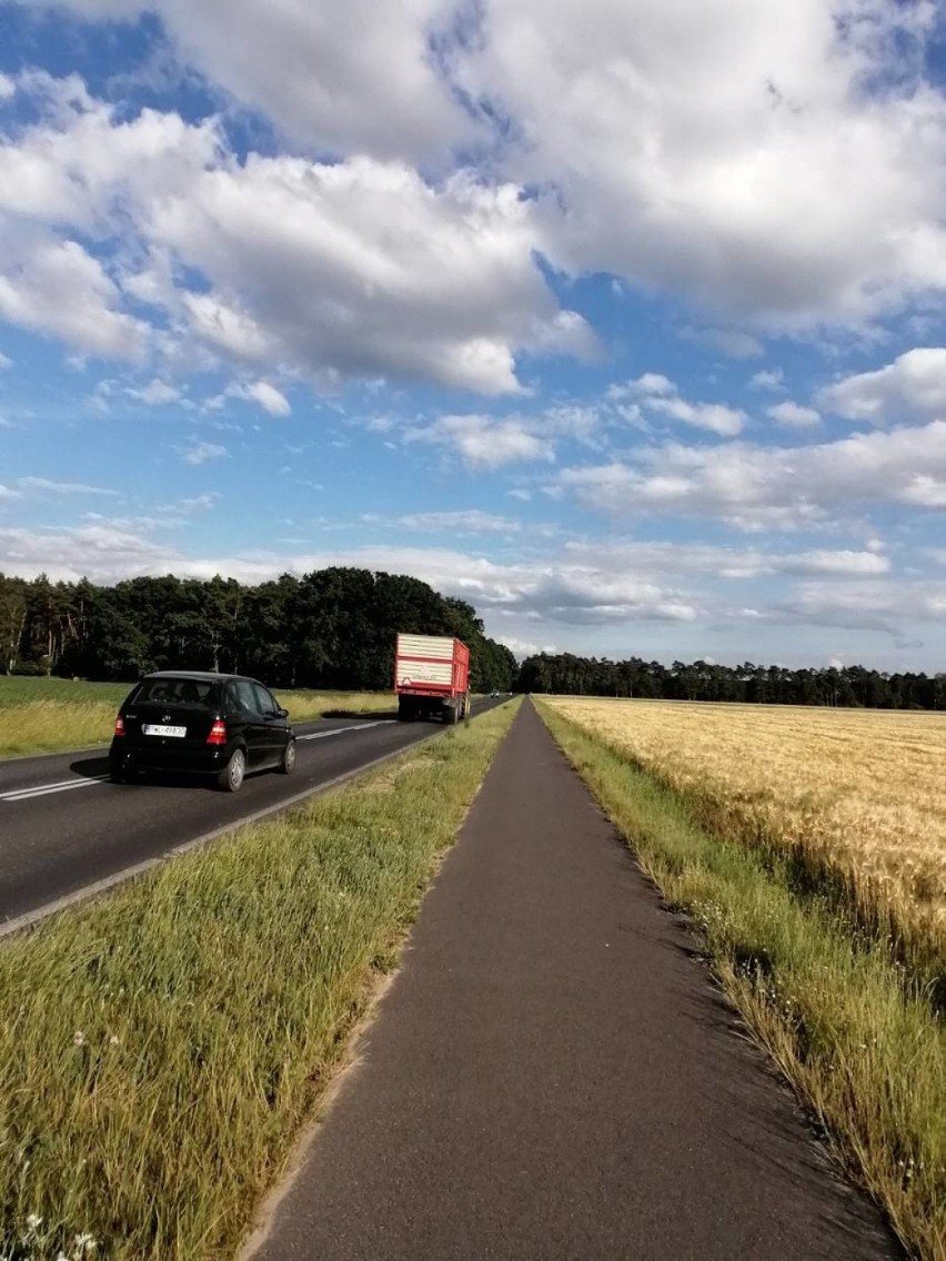 LESZNO. Ścieżka rowerowa od wiaduktu w Wilkowicach do Święciechowy - starostwo stara się o pieniądze na jej budowę [ZDJĘCIA]