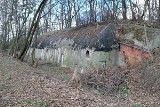 Czy wrocławskie bunkry i schrony staną się atrakcją turystyczną?