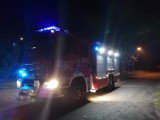 Gmina Miedzichowo: Pożar drzewa po uderzeniu pioruna i iskrzące się przyłącze powodami dwóch wyjazdów OSP! 