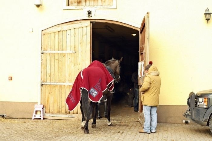Wrocław: Koń lepszy i koń gorszy na Partynicach (ZOBACZ)