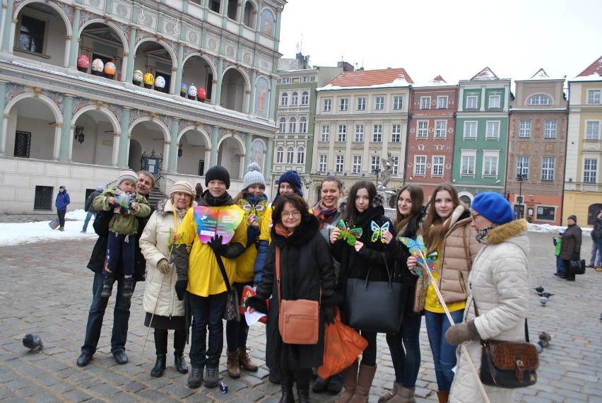 W Dzień Wrażliwości motyle opanowały Poznań [ZDJĘCIA]