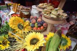 Piknik rodzinny odbędzie się w sobotę w Ostrowsku w gminie Uniejów. Jaki PROGRAM?