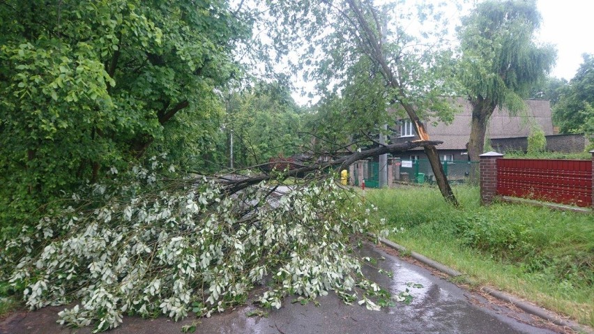 Ponad 30 interwencji strażaków. Wszystko przez burze 