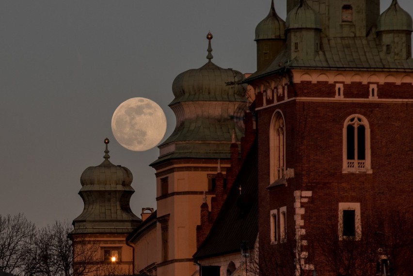 Różowy księżyc na krakowskim niebie. Zobacz to niezwykłe zjawisko [ZDJĘCIA]